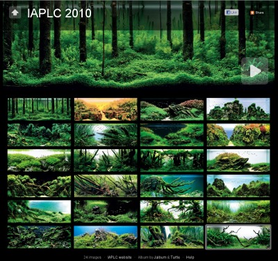 Galerie de imagini IAPLC 2010