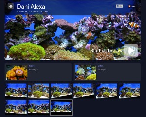 galerie foto / video - acvariul lui Dani Alexa